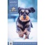 Lucky-Pet Alles für Hund und Katze Katalog