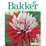 BADER-Hauptkatalog