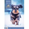 Lucky-Pet Alles für Hund und Katze Katalog
