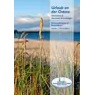b&uuml;roplus Hauptkatalog